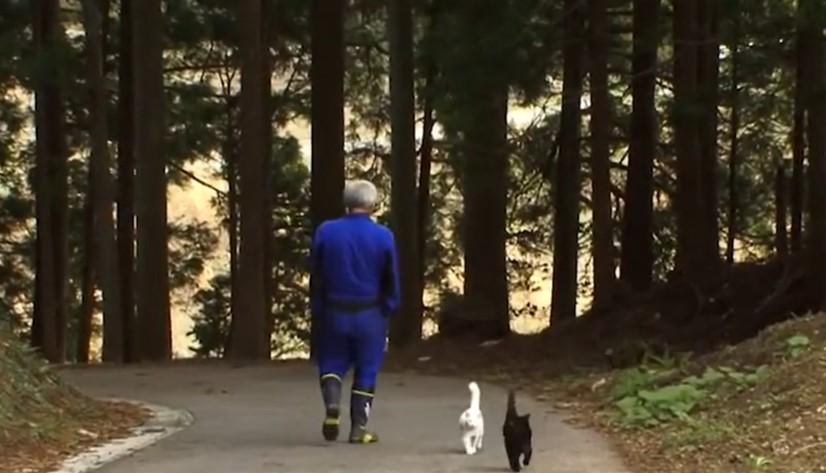 サニーコラムイメージ