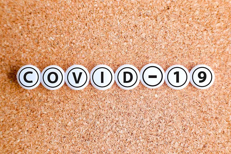 サニーコラムイメージ