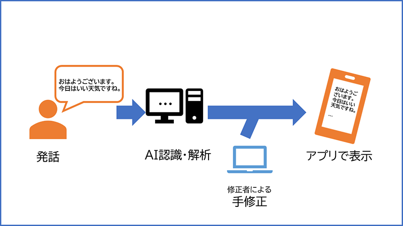 サニーコラムイメージ