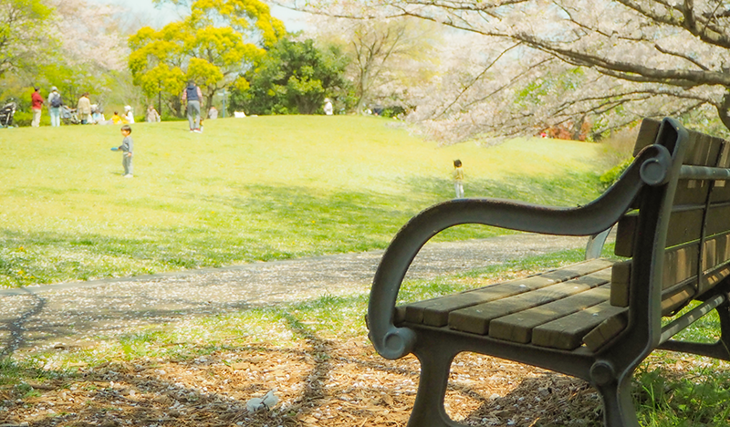 サニーコラムイメージ